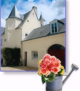 jc img1 bed and breakfast argentier du roy | loire valley | france